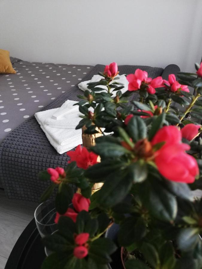 Marlen'S Apartment Бухарест Экстерьер фото